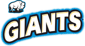 giantsnacks.com