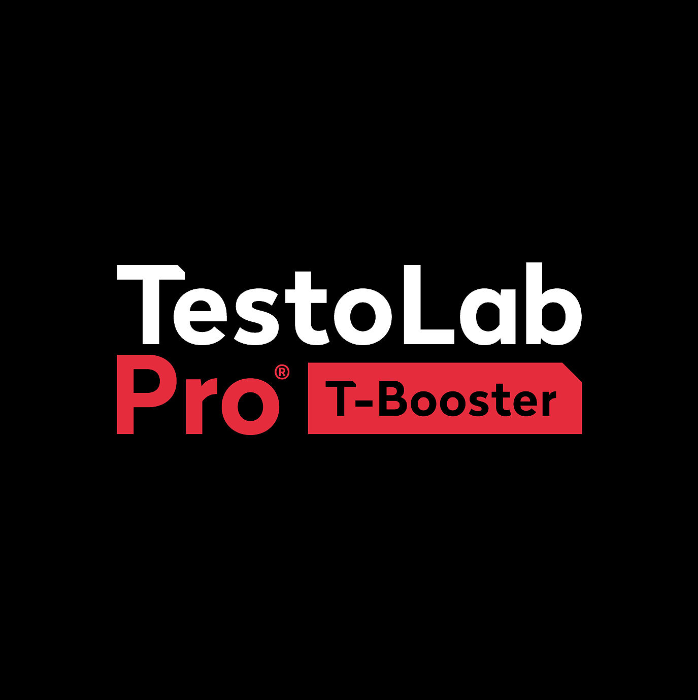 Testo Lab Pro