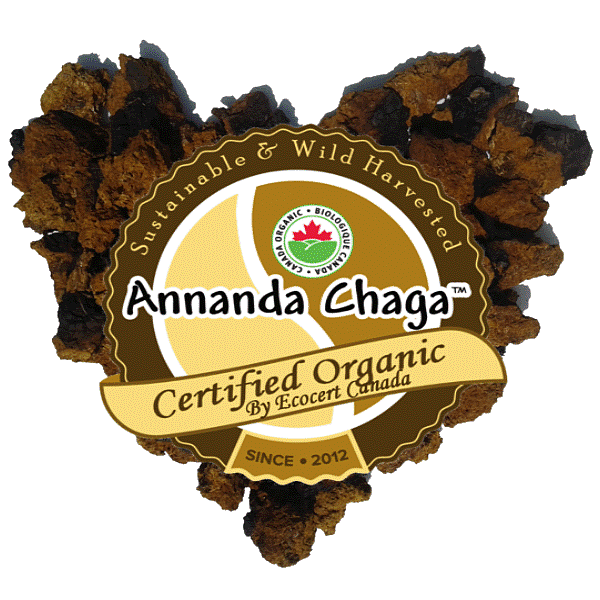 Annanda Chaga & Annanda Organics