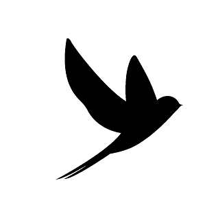 Black Swallow