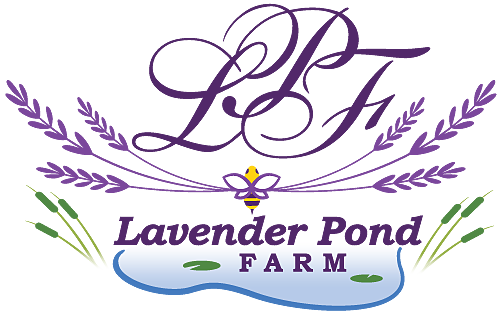 www.lavenderpondfarm.com