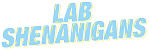 labshenanigansmerch.com