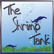The Shrimp Tank