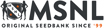 MSNL - www.marijuana-seeds.nl