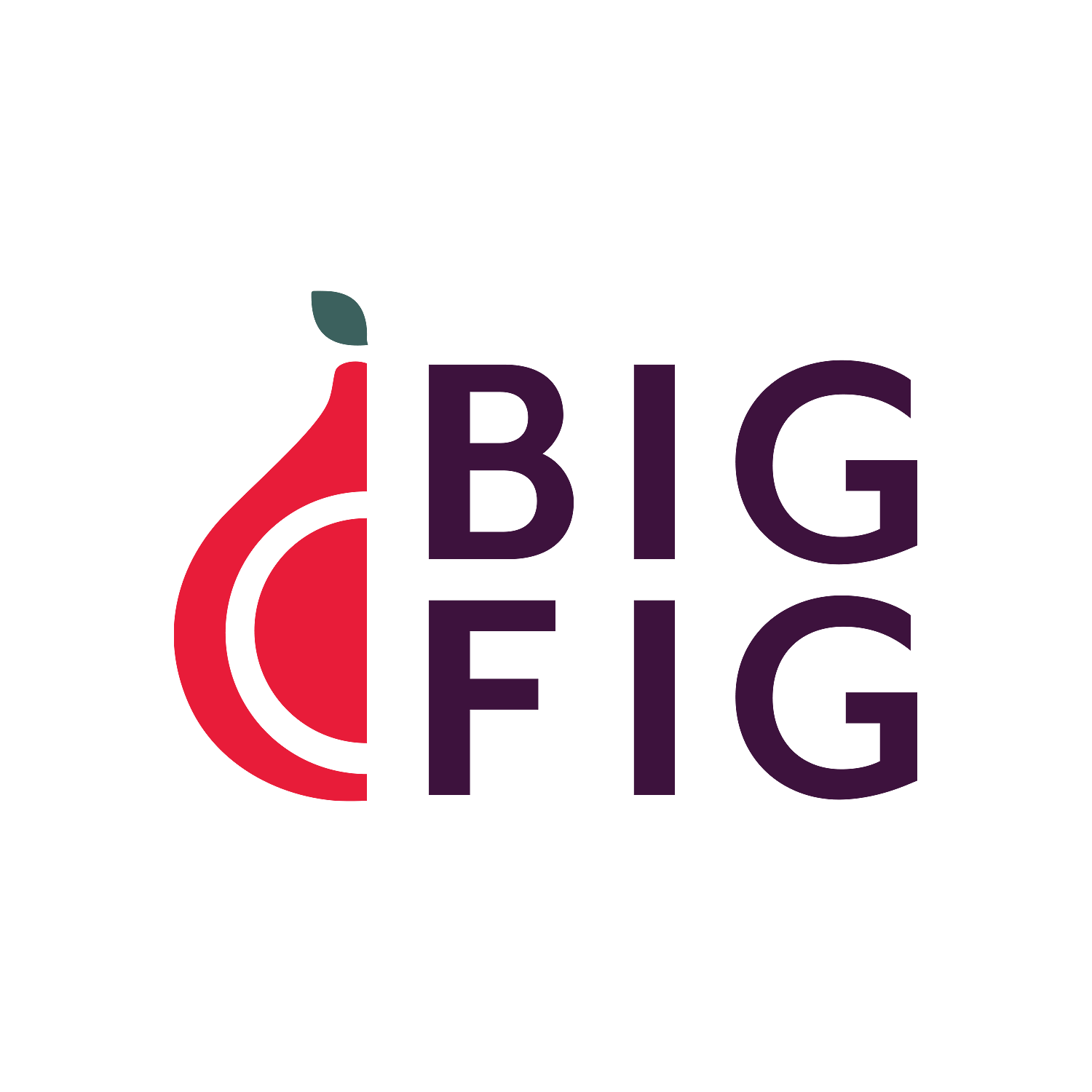 New - Bigfigmattress.com