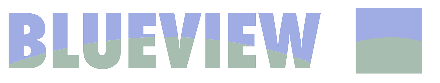blueviewfootwear.com