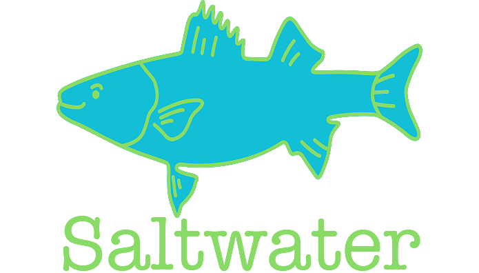 saltwaterlongisland.com