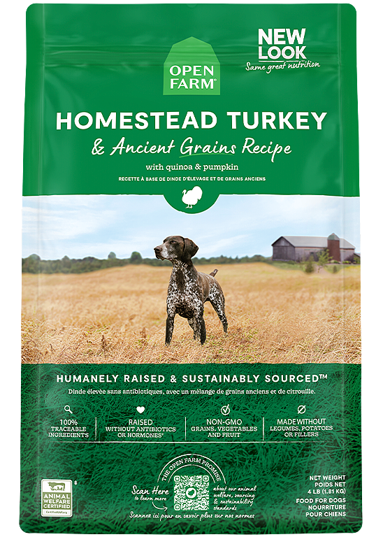 Homestead Turkey &amp; Ancient Grains Dry Dog Food