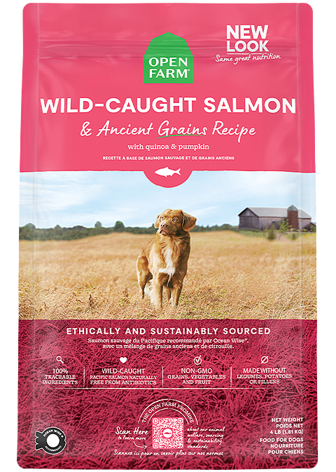 Wild-Caught Salmon &amp; Ancient Grains Dry Dog Food