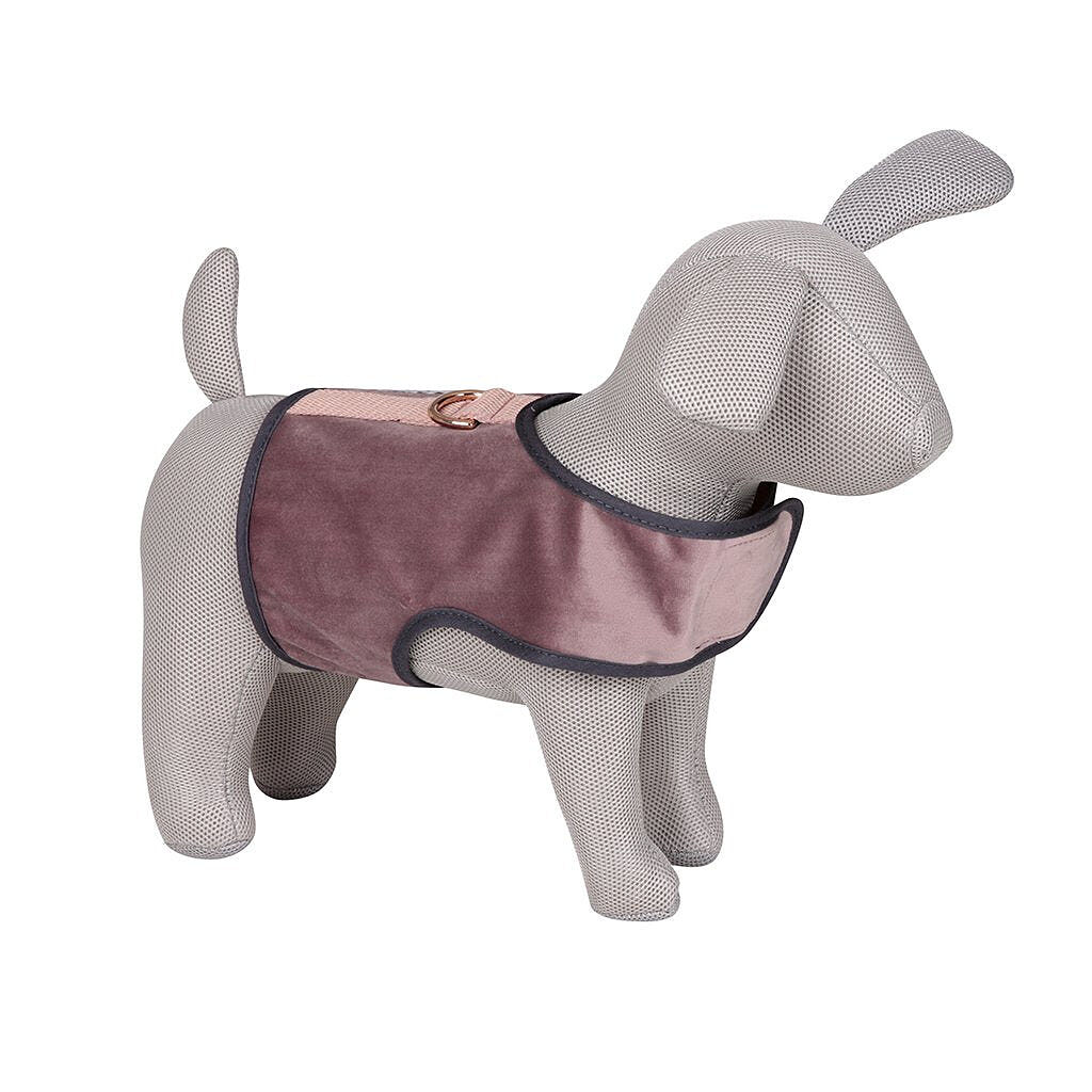 Image link to product page