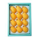 Product image for 茂木びわ12個入（日付指定不可）