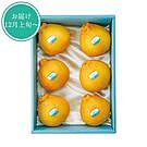 Product image for デコポン６個入 No15