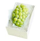 Product image for アレキサンドリア1房入（化粧箱）約600g （お届け期間：6/14～6/16）