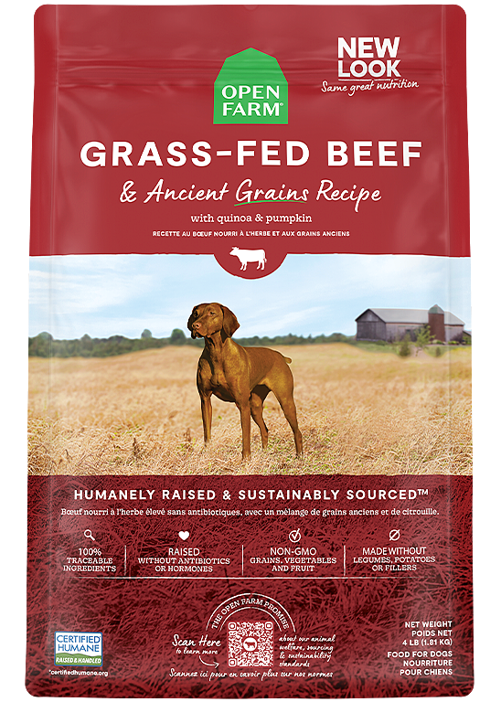 Grass-Fed Beef &amp; Ancient Grains Dry Dog Food