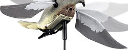 Motorized Flapping Wing Dove | Lucky Duck Decoys