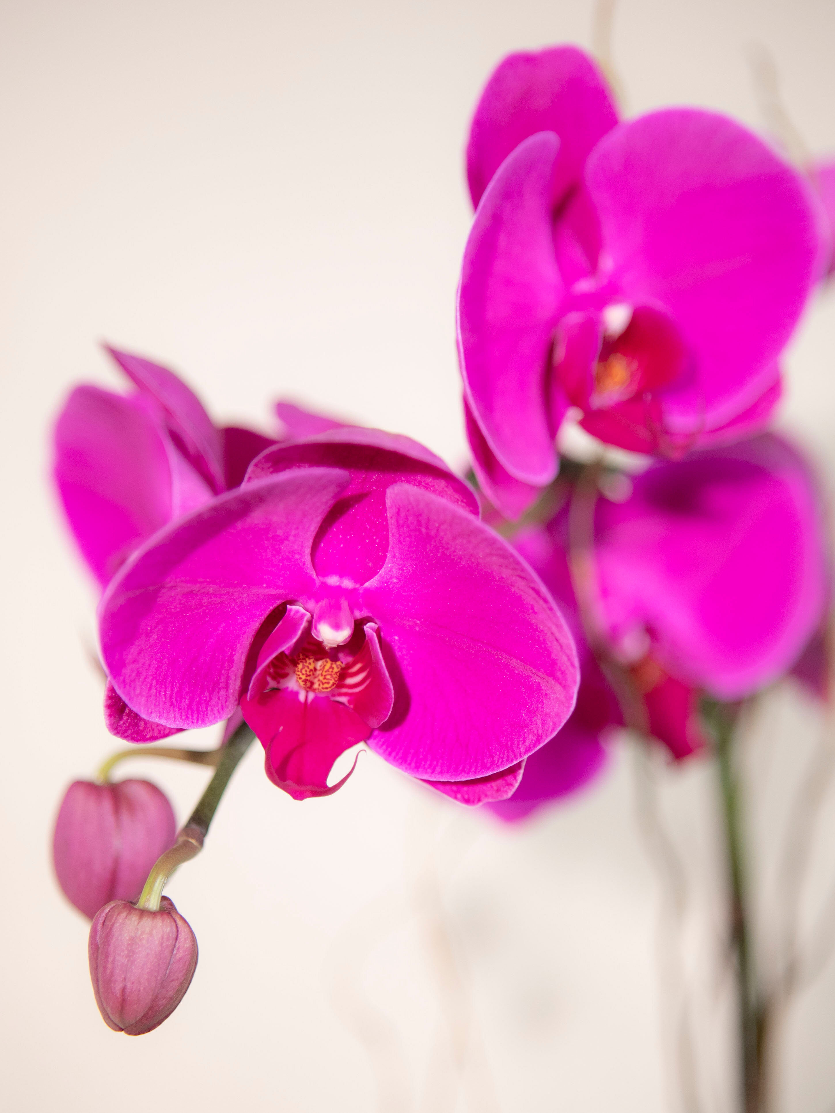 Image link to product page