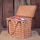 Portable File Organizer | Hanging Folder Tote Box w/Handles
