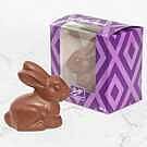 Product image for Milk Chocolate Whiskers Bunny, 165 g