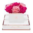 Product image for Blanche Chic Fuchsia and Light Pink
