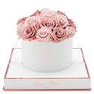 Product image for Blanche Round Classic Pink and Blush