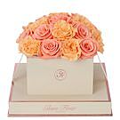 Product image for Montagé Square Van Gogh Peach and Coral