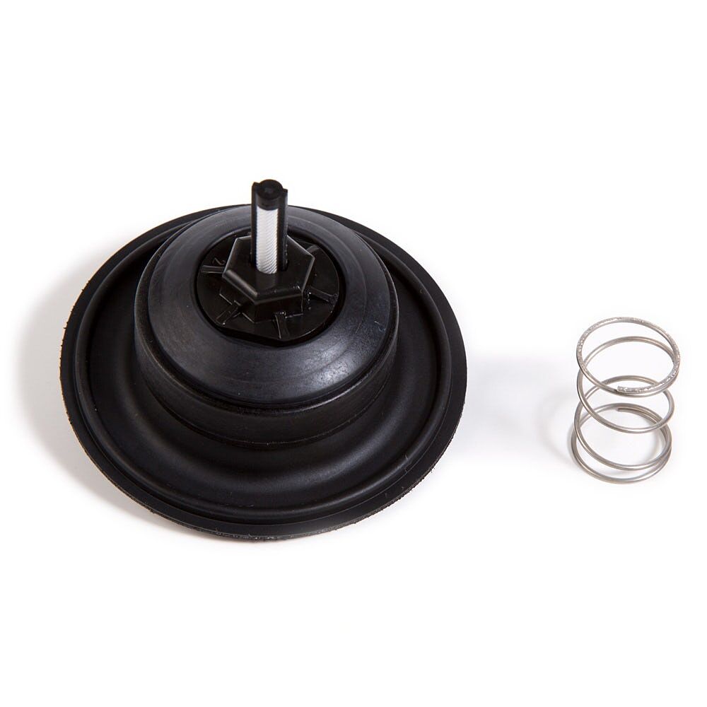 DIAPH200PG - Diaphragm Repair Kit for 2 in. 200-PGA Valves
