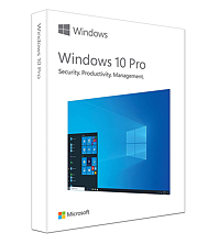 Buy Microsoft Windows 11 Home - English [Digital] Single