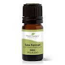 Product image for Sea Fennel Essential Oil