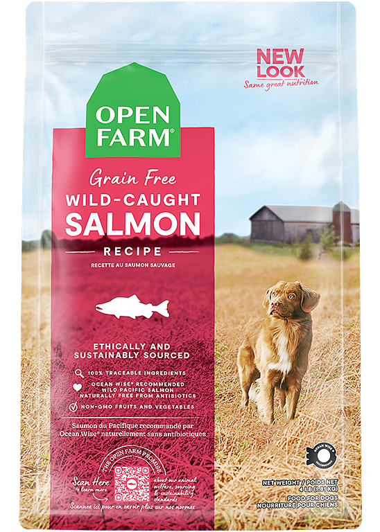 Copy of Wild-Caught Salmon Dry Dog Food