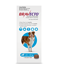 Petbarn bravecto best sale