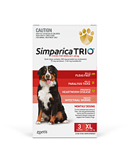 l carnitine injection canada L-Carnitine Injection 100ml CanadaVet