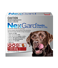 Bravecto 1 Month Large Dog 44 - 88lbs Blue 1 Pack