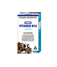 L-Carnitine Injection 100ml CanadaVet