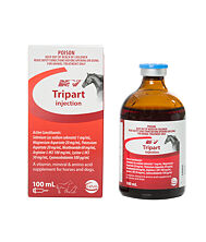 Vitamin B12 Injection - 100ml Vitamin B12 Injection - 100ml