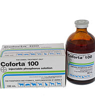 Vitamin B12 Injection - 100ml Vitamin B12 Injection - 100ml