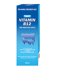 Troy Vitamin B12 Injection