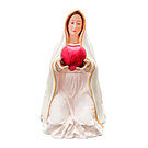 Product image for Nossa Senhora Coração Orante