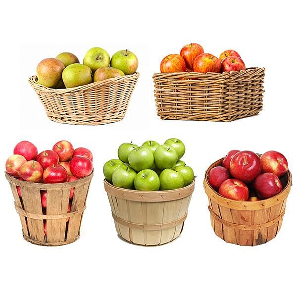 5-in-1 Apple Tree