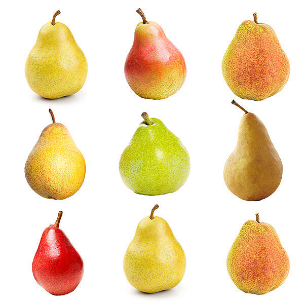 4-in-1 European Pear Tree