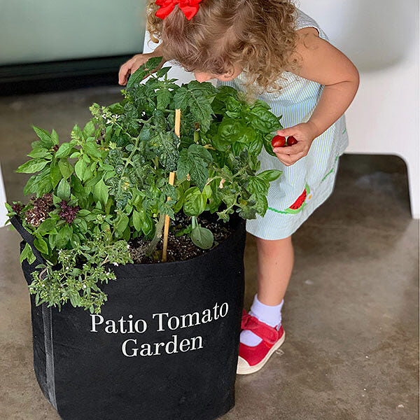 Gardenuity® Patio Tomato Garden