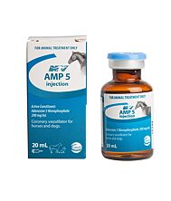 acetyl l carnitine dosage fat loss Acetyl L-CARNITINE 1500mg Fat Loss-Metabolism Activator Energy, 120 Veg  Capsules