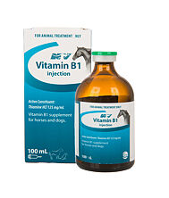 L-Carnitine Injection 100ml CanadaVet