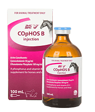L-Carnitine Injection 100ml CanadaVet L-Carnitine Injection 100ml CanadaVet