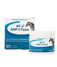l carnitine effects on weight loss Potential effects of l-Carnitine supplementation on different l carnitine effects on weight loss Potential effects of l-Carnitine supplementation on different