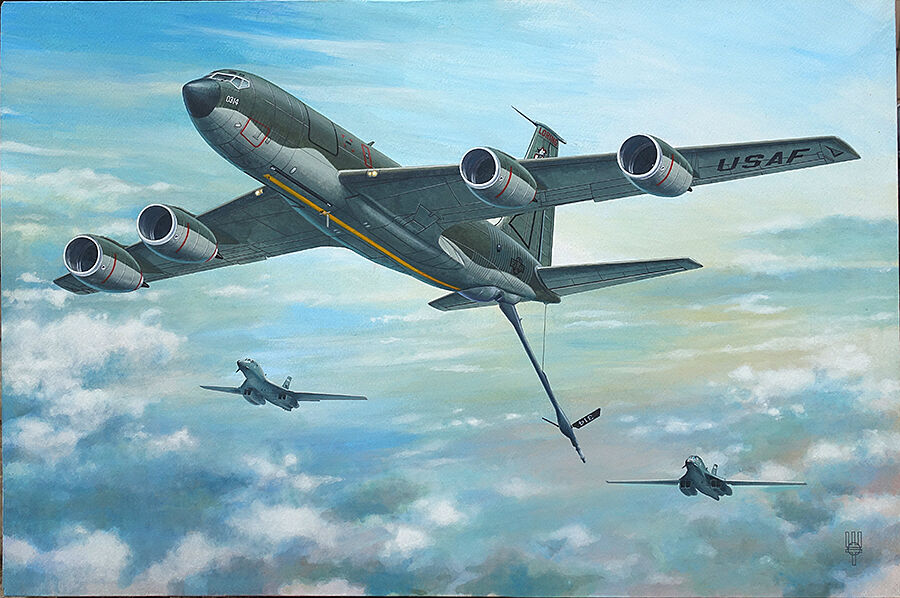 RODEN ロデン 1/144 C-5B GALAXY ギャラクシー プラモデル Amazon.com: RODEN Plastic Model Building Airplane KIT