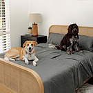 Image link to product page