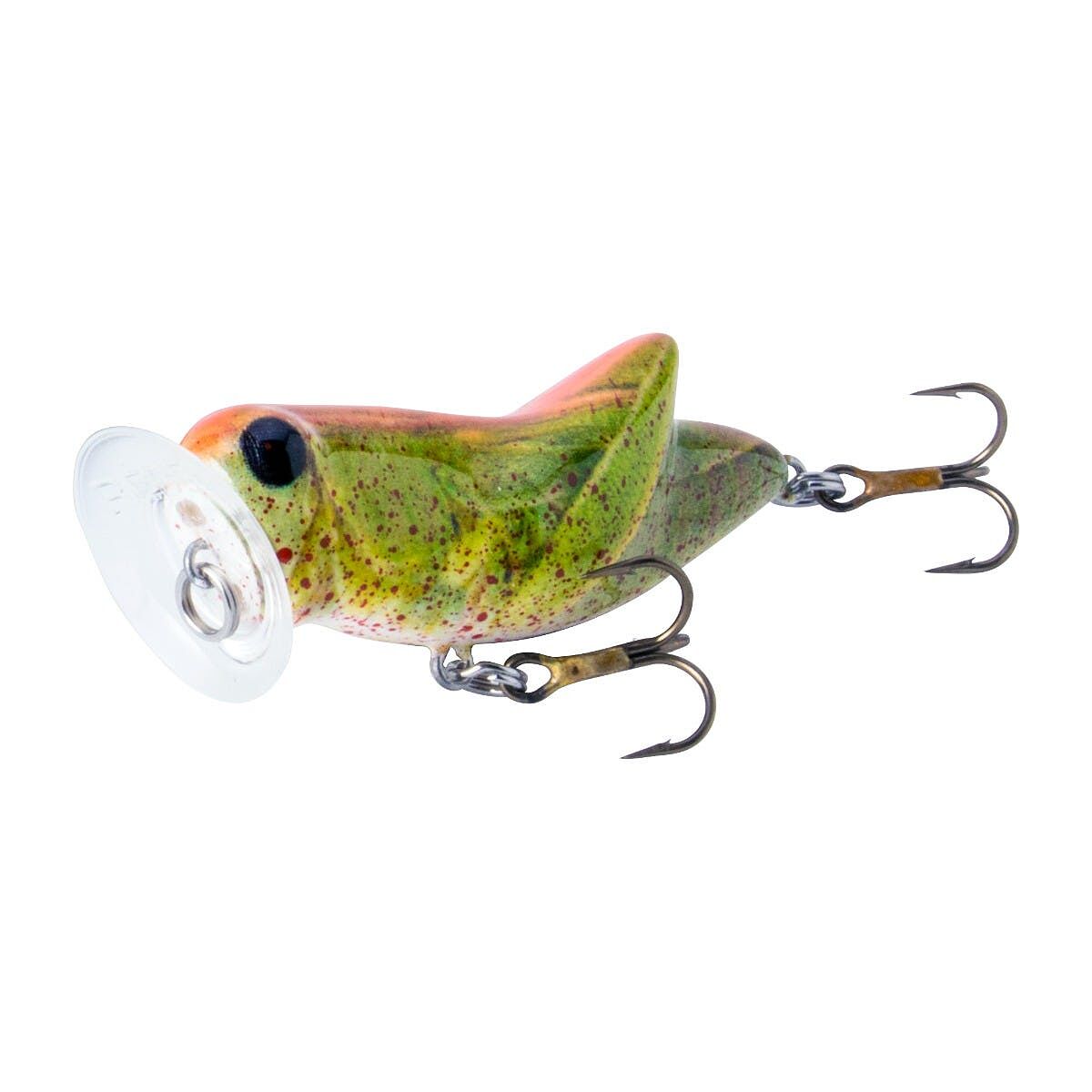 Rebel Pop'N Frog