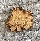 Product image for PALO SANTO NATURAL DIFFUSER