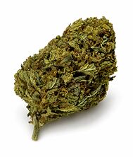 Buy Blizzard Bar Weed Strain - ZAZA Flower - The Hemp Doctor