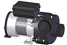 Product image for 21-0015-81 Artesian Spas Pump, LX Circulation, Switchless, 60Hz